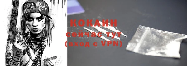 МДПВ Лагань