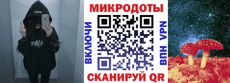 купить   Туапсе  Галлюциногенные грибы MAGIC MUSHROOMS 